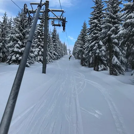 Orman Evi Skolicka Horni Misecky