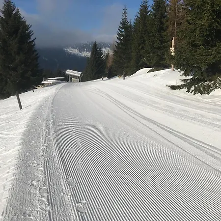 Skolicka Orman Evi *